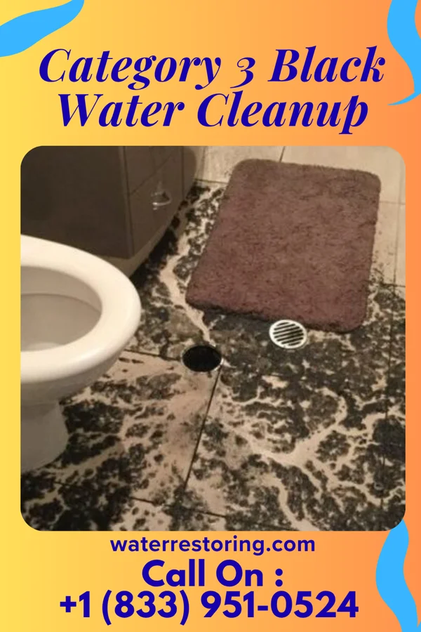 Category 3 Black Water Cleanup in Barbourville, KY