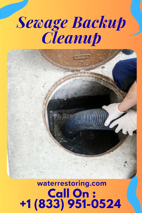 Sewage Backup Cleanup in Barbourville, KY