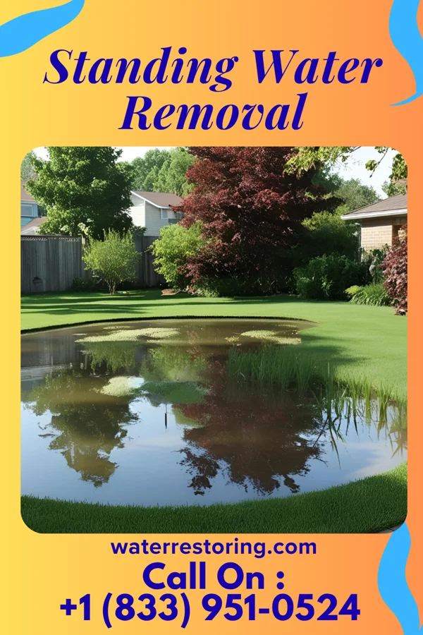 Standing Water Removal in Barbourville, KY